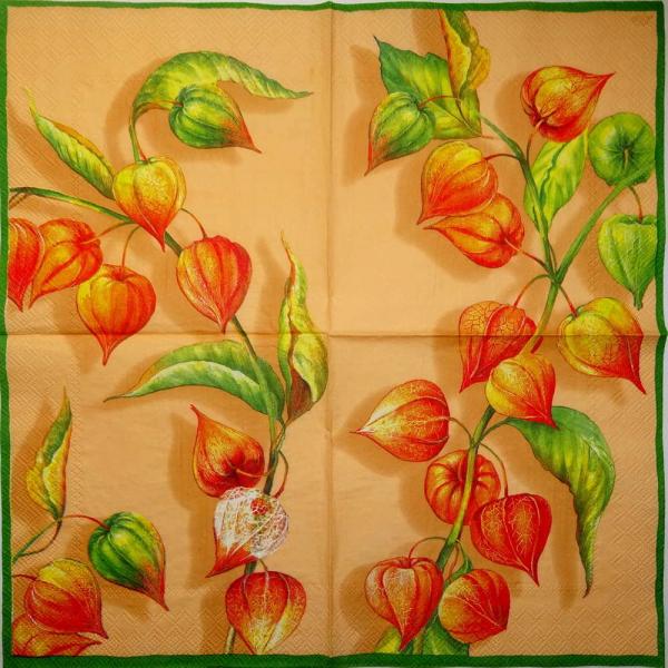 054 Autumn - 3-ply (apricot) - Ihr