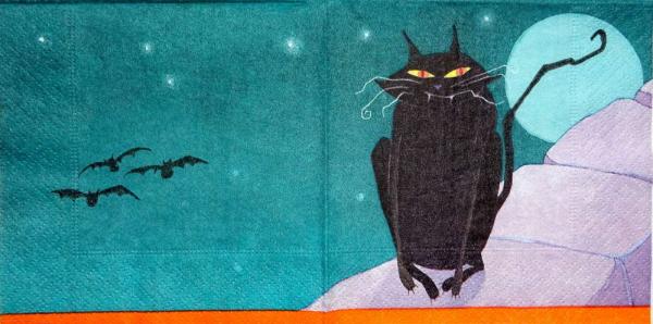 208 Cats - 3-ply - Jeannie Winston - CS