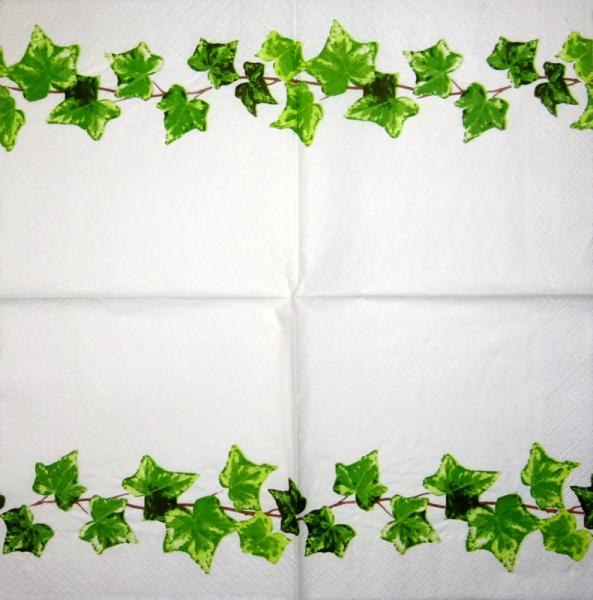 001 Pflanzen - 3 lagig - Molca