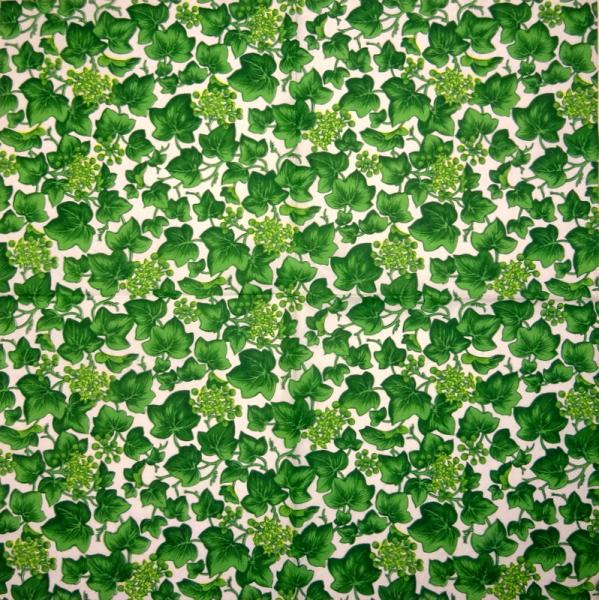 001 Pflanzen - 3 lagig - Molca