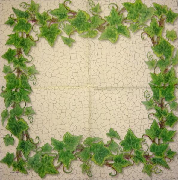 001 Pflanzen - 3 lagig - Molca