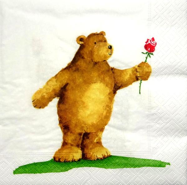 103 Teddy - 3-lagig - Paper Design