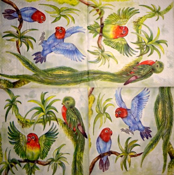 074 Parrot - 3-ply - CS