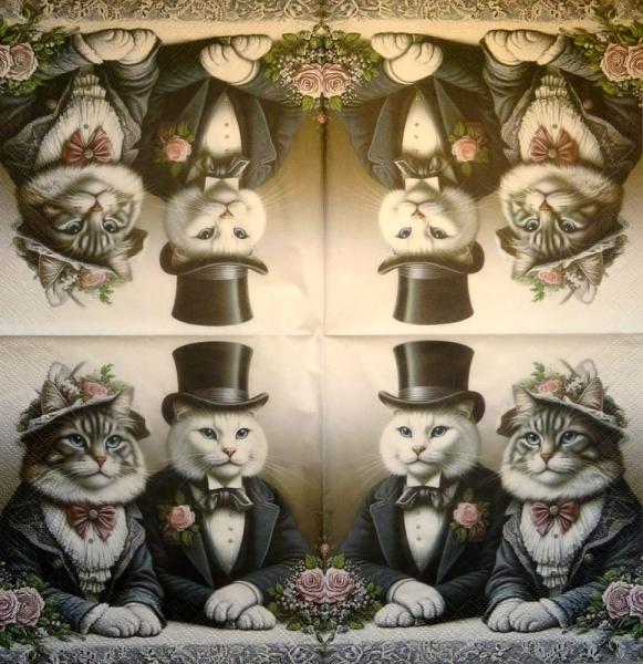 299 Katzen - 3-lagig