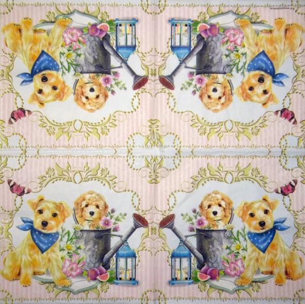 HUN-233 Hunde - 3-lagig - Ambiente