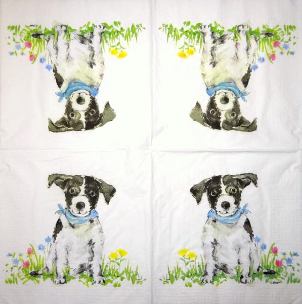 HUN-234 Dogs - 3-ply - ppd - Carola Pabst
