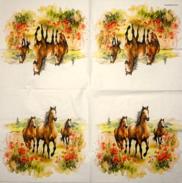 051 Pferde - 3-lagig - Ambiente