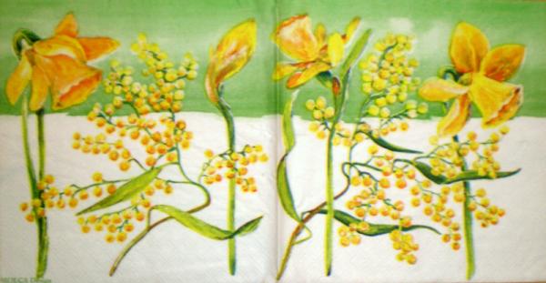 012 Daffodils,  Hyacinths,  Maiglöckchen, Crocus - Molca