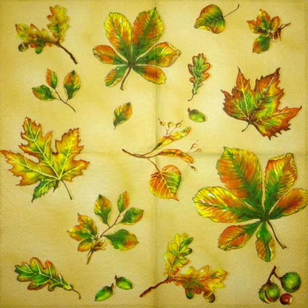 001 Plants - 3 ply - Molca