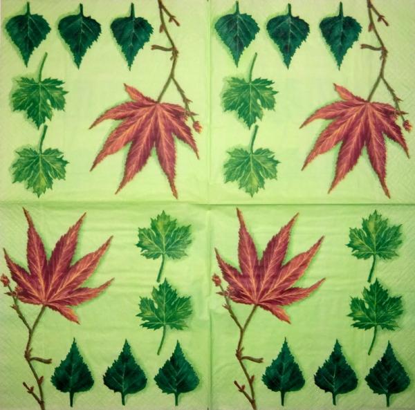 001 Plants - 3 ply - Molca