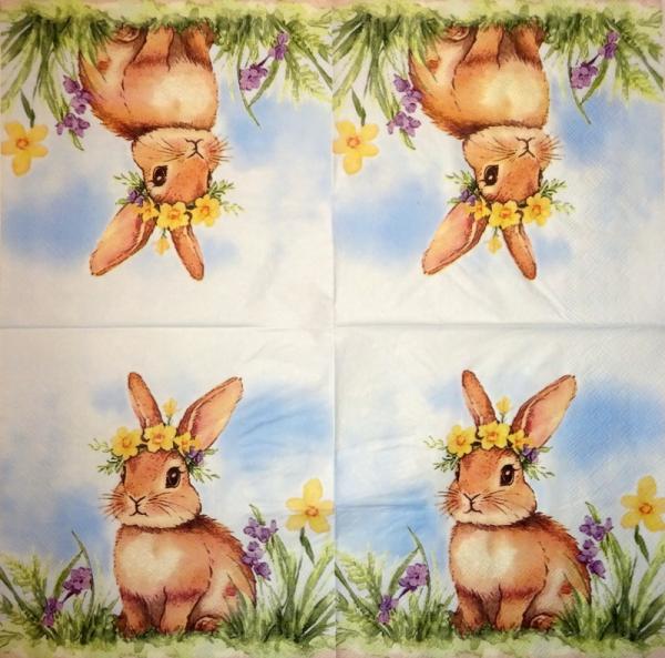 105 Hasen: natürlich - 3-lagig