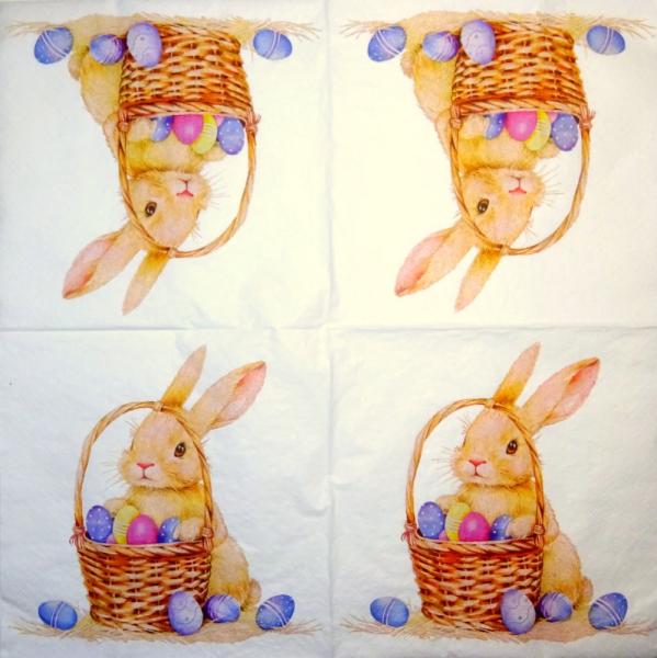 105 Hasen: natürlich - 3-lagig