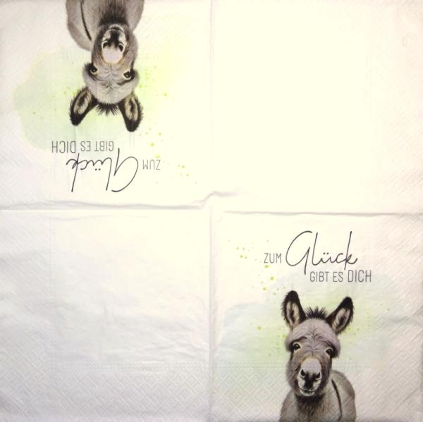 303 Text - 3-lagig - Design House