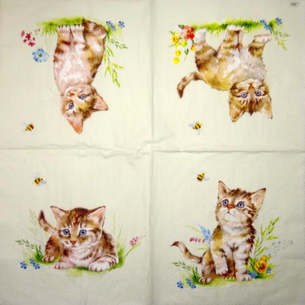 299 Katzen - 3-lagig