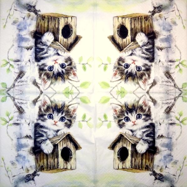 299 Katzen - 3-lagig