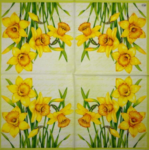 108 Daffodils - 3 ply - Home Fashion