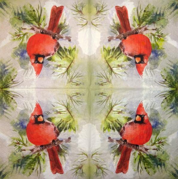 179 Vögel - 3-ply - Montgomery