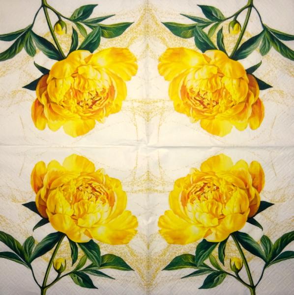 12f-479 Rosen - 3-lagig  - Plaid