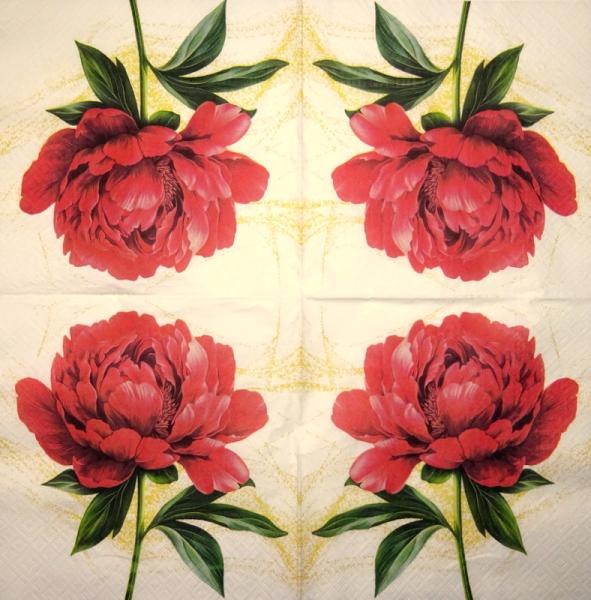 12f-479 Rosen - 3-lagig  - Plaid