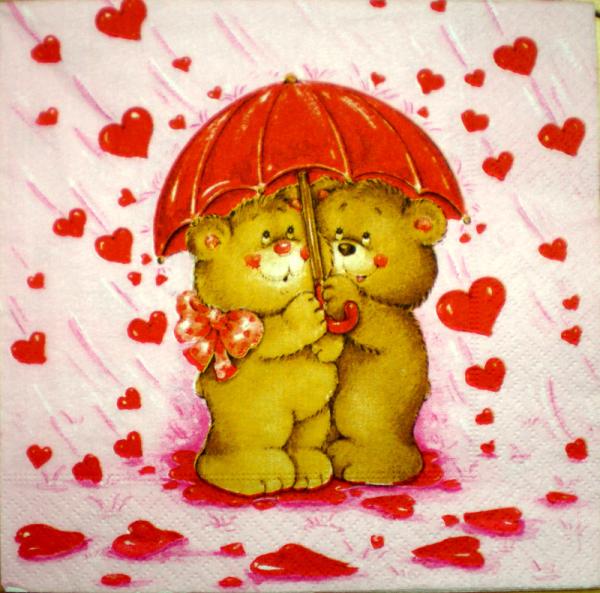 005 Teddy - Paper Design