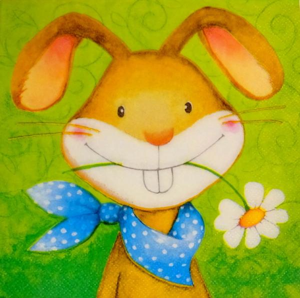 999.053 Hasen: unnatürlich - 3-lagig