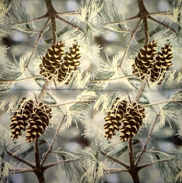 156 Christmas Flowers - 3-ply - Ambiente