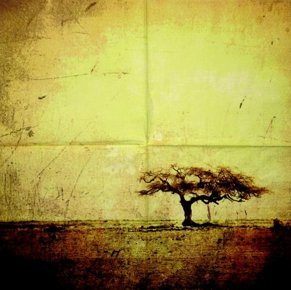 050 Afrikas - 3-lagig - Veldt