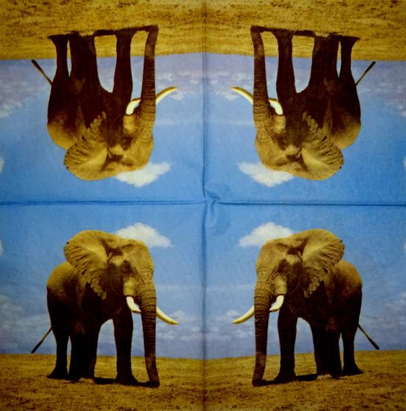 060 Elephant - 3-ply - (gold) - ppd