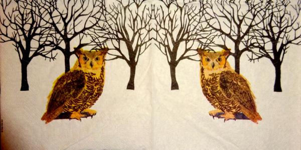080 Owls - 3-ply - ppd - Two Can Art - CS