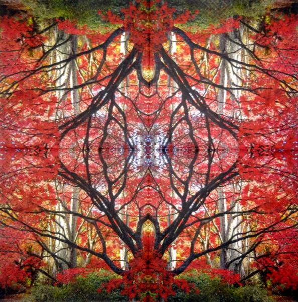 001 Pflanzen - 3 lagig - Molca