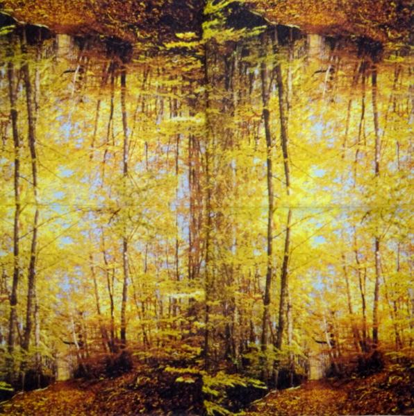 001 Pflanzen - 3 lagig - Molca