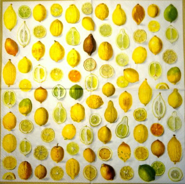 ZIT-817 Lemons, Oranges - 3-ply