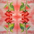 727 Rosen - 3-lagig - TRUBA