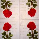 727 Rosen - 3-lagig - TRUBA