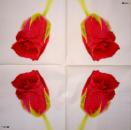 727 Rosen - 3-lagig - TRUBA