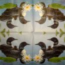 117 Ducks - 3-ply (weiß)