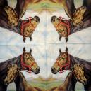 058 Horses (58) - CS
