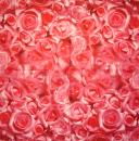 724 Rosen - 3-lagig (silber) - Home Fashion
