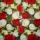 215 Rosen - 3-lagig - Stewo