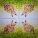 999.186 Hasen: natürliche - 3-lagig - Peter Rabbit 2005