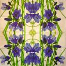 196 Flowers Others - 3-ply