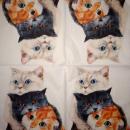 999.177 Katzen - 3-lagig - Marque Deposee 2008 - Clouet