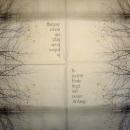 342 Scripture - 4-ply - Sniff - Jill Seale - Handkerchief