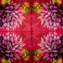 001 Flowers Others - 3 ply