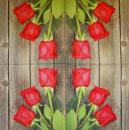 356 Roses - 3-ply - ppd - Shutterstock