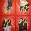 128 Known Figures - 2-ply - Disney High School Musical
