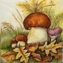 122 Autumn - 3-ply - Atelier