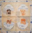 108 Cats - 3-ply - Madame est Servie