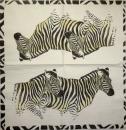 012 Zebra - 3-ply