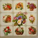 123 Flowers Others - 3 ply